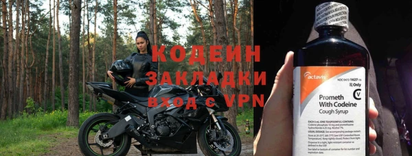 ECSTASY Алзамай