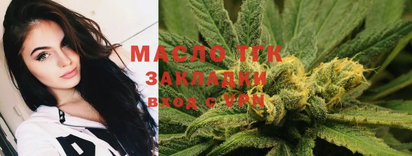 ECSTASY Алзамай