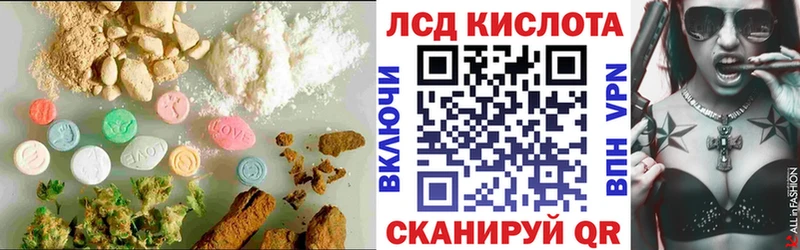 продажа наркотиков  Аргун  ЛСД экстази кислота 