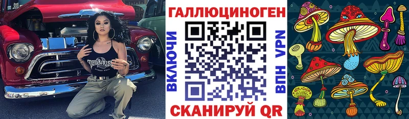 omg как войти  Аргун  Галлюциногенные грибы прущие грибы 