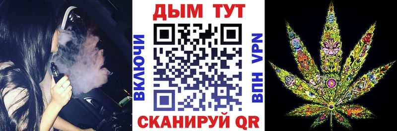 где купить наркоту  Аргун  Шишки марихуана Amnesia 